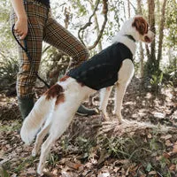 EzyDog Thermax løbevest til hund varm