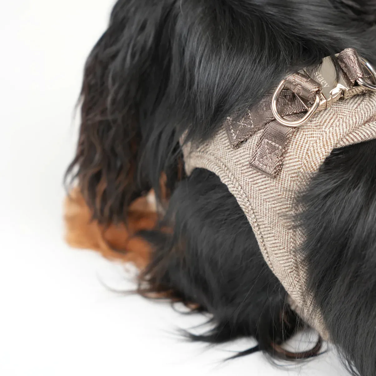 Staey Saga step-in hundesele Mocca blød