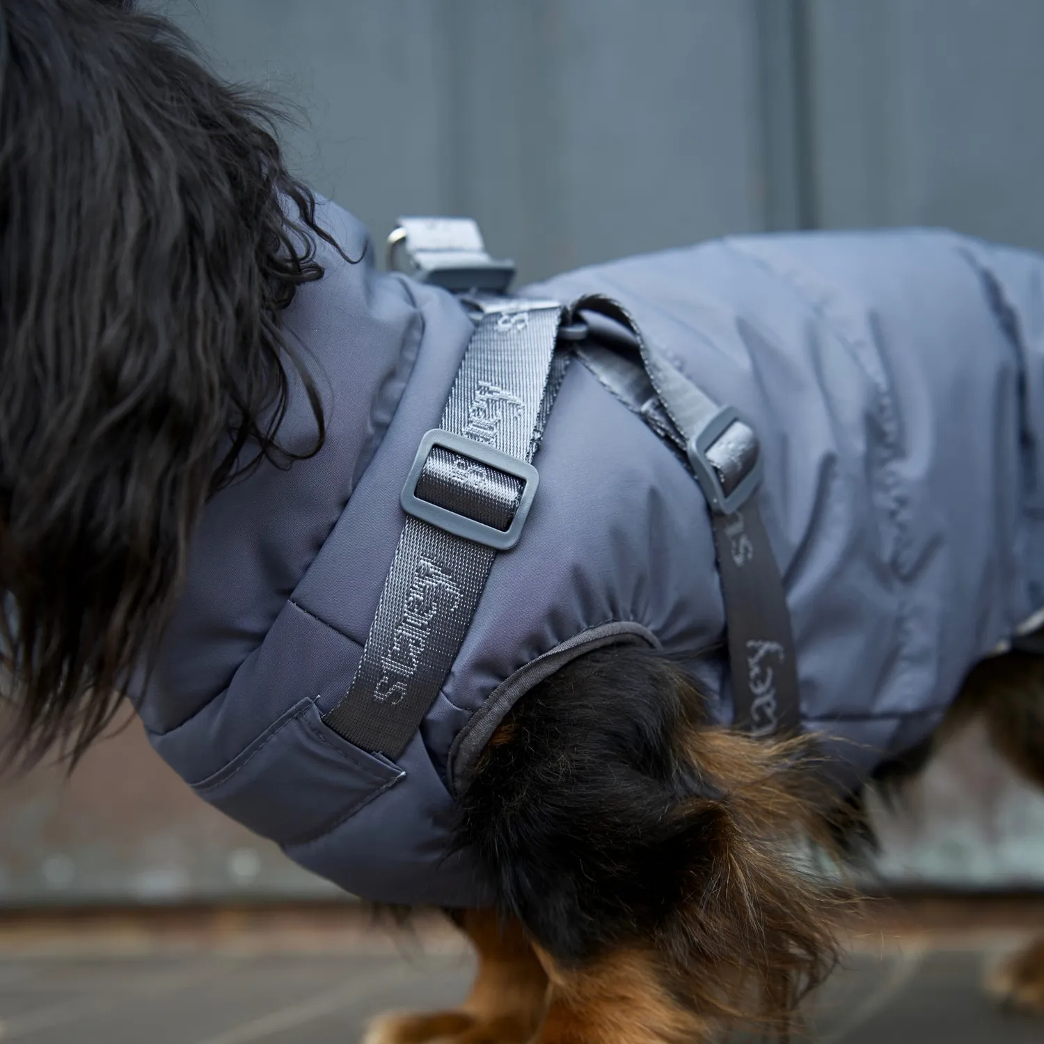 Staey Vera hundefrakke Dusty Blue m. sele