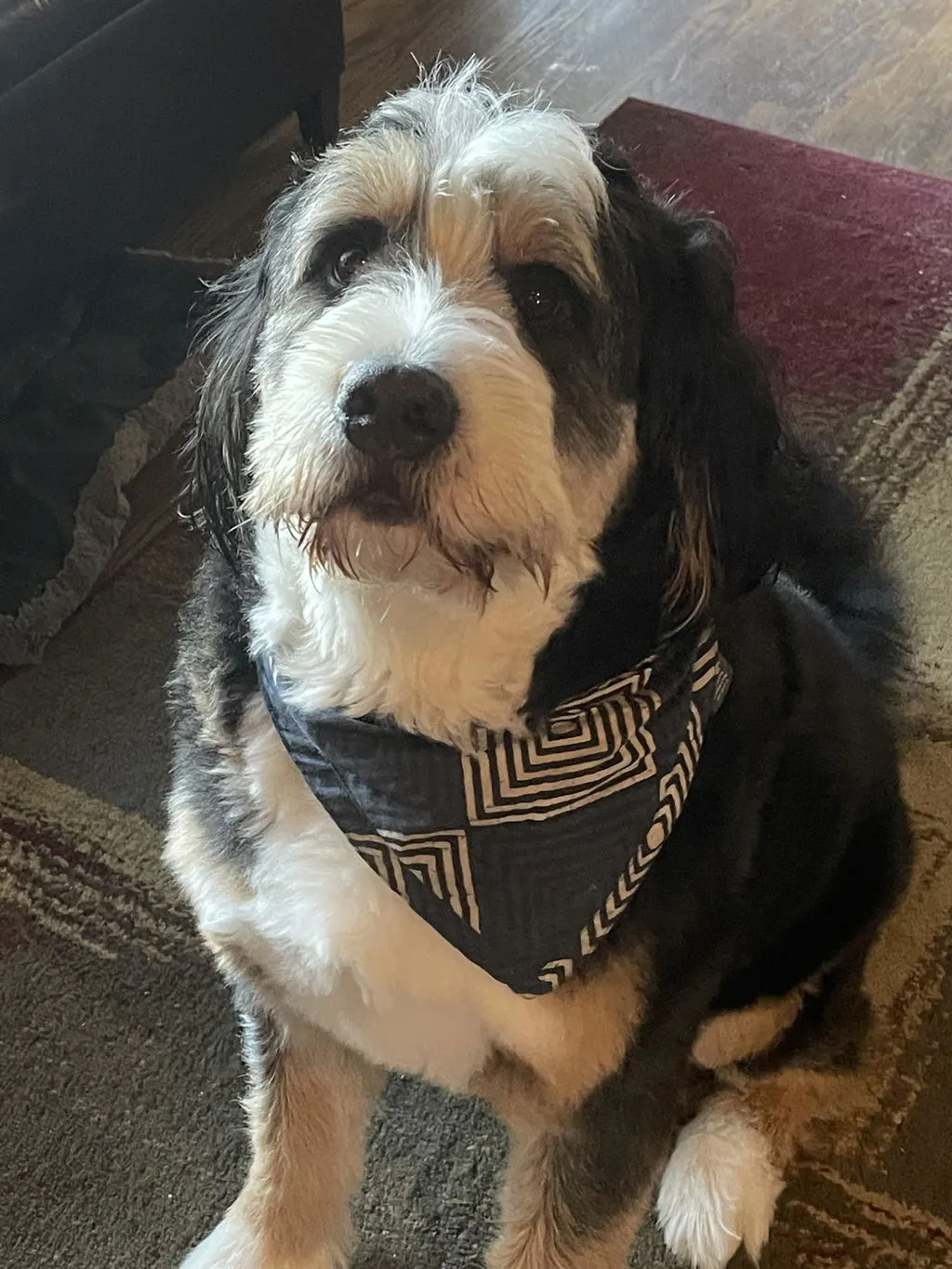 Dog Gone Smart UnBugz-It hundebandana insekt