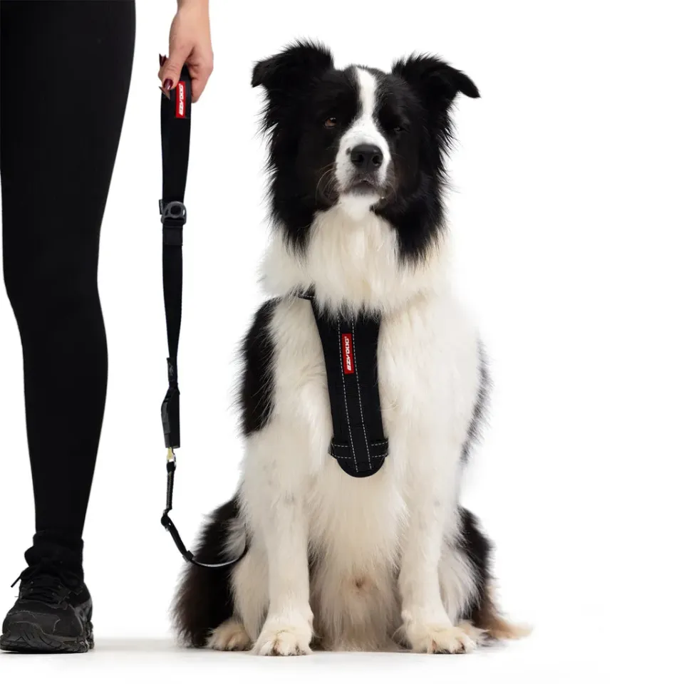 EzyDog Drive Click hundesnor til bil seleadapter