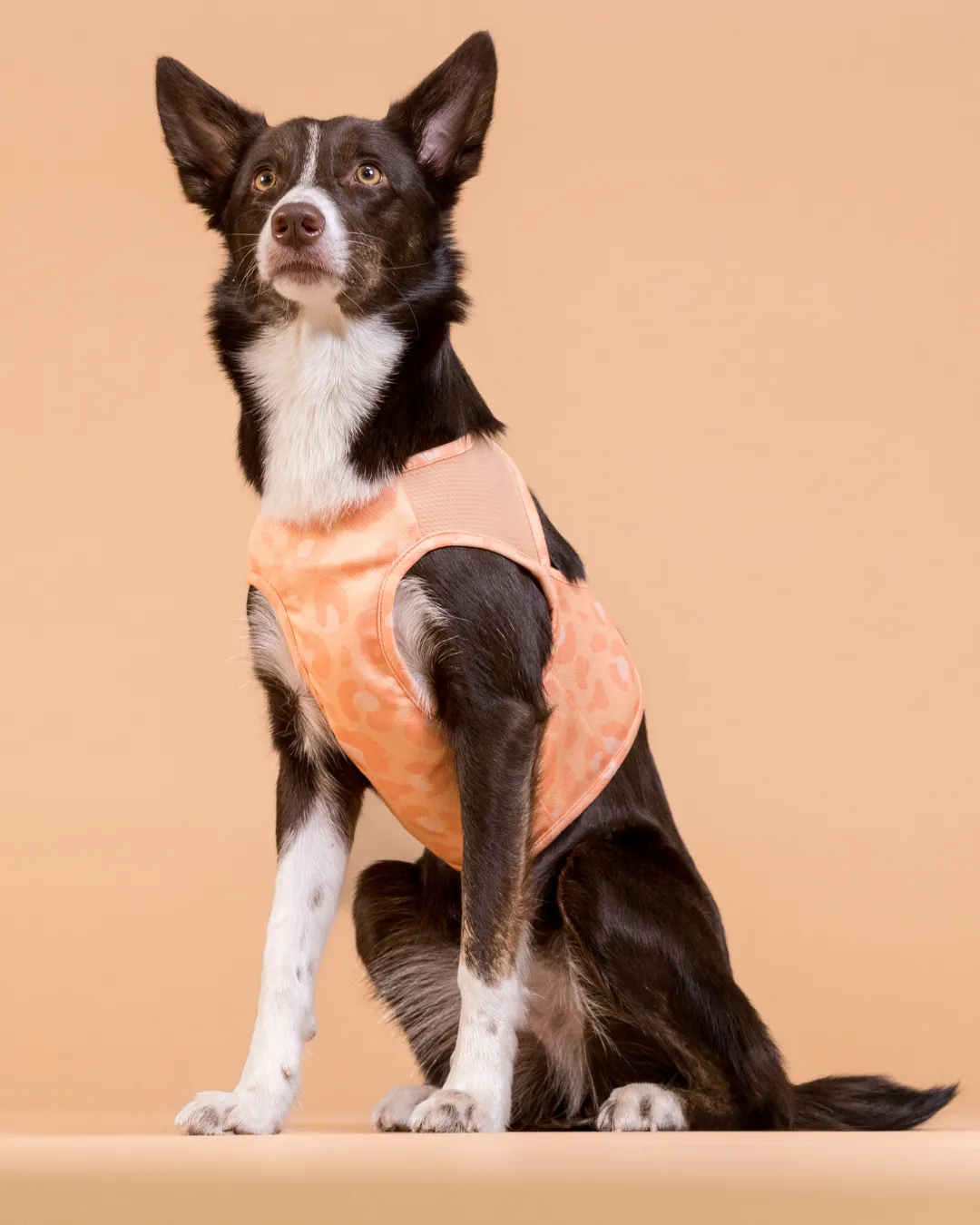 Paikka Cool Vest Peach kølevest fersken