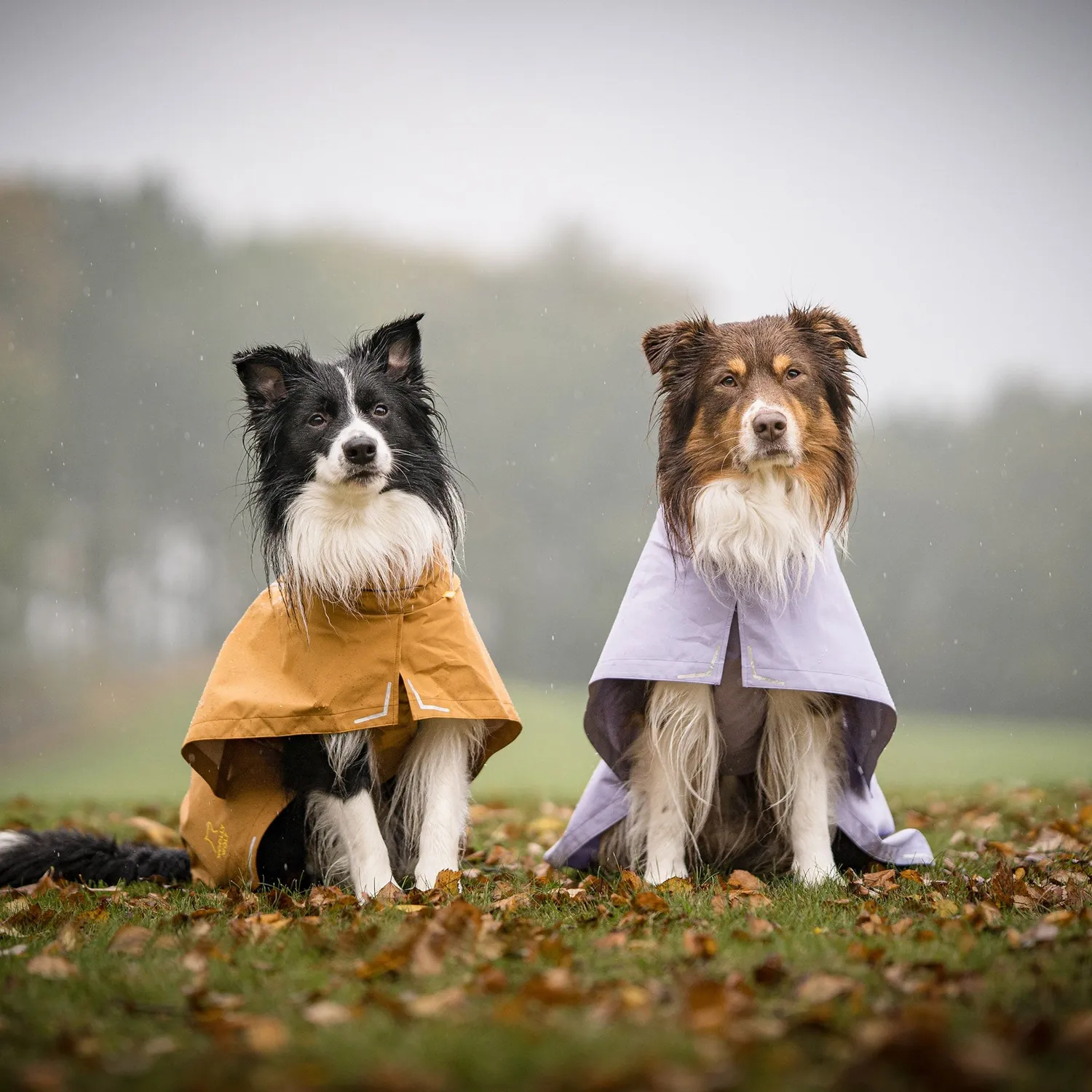 Woolly Wolf Cloudshell regnjakke hund brun