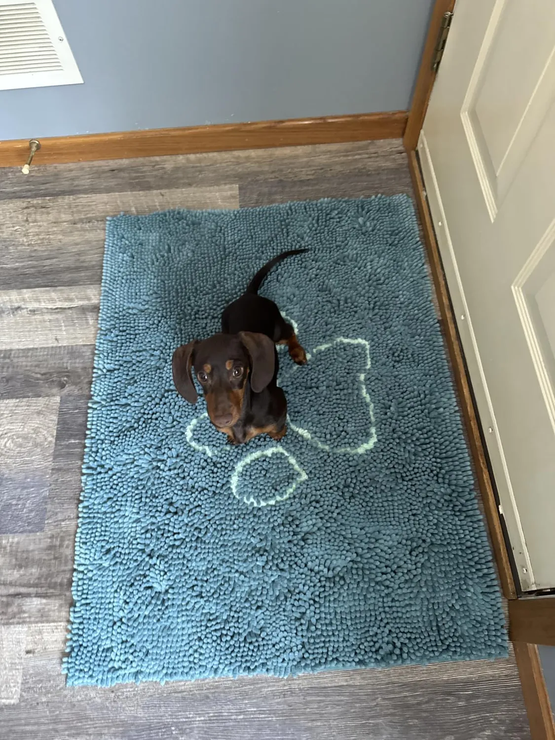 Dog Gone Smart Dirty Dog dørmåtte super absorberende