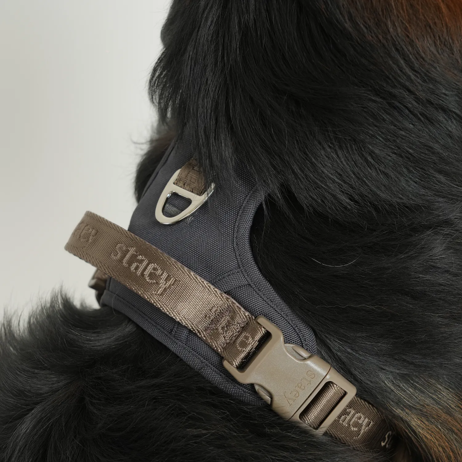 Staey Elma Active hundesele Storm med håndtag