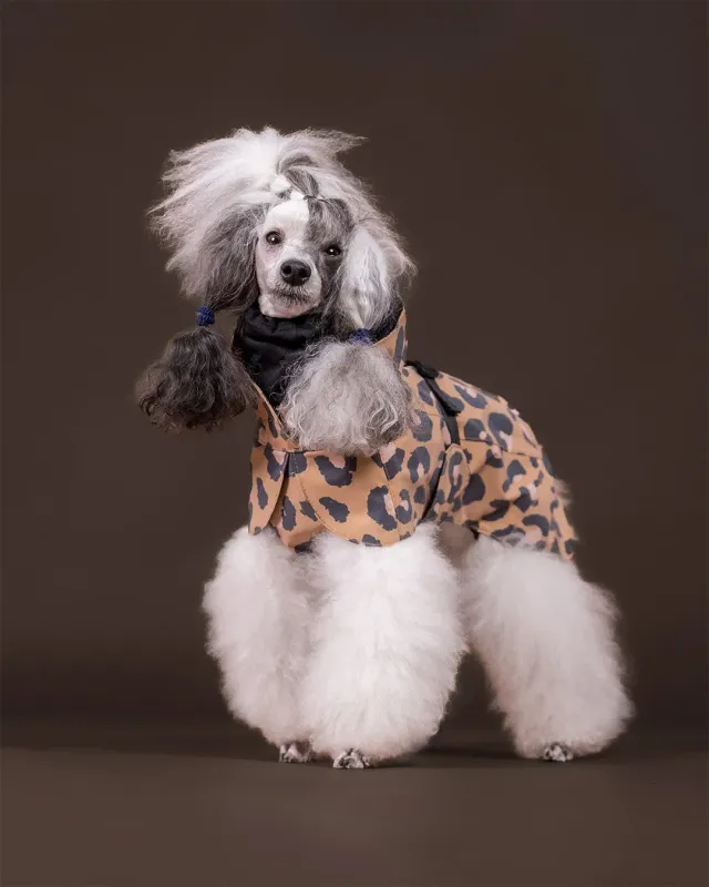 Paikka Visibility Raincoat Leo regnjakke leopard