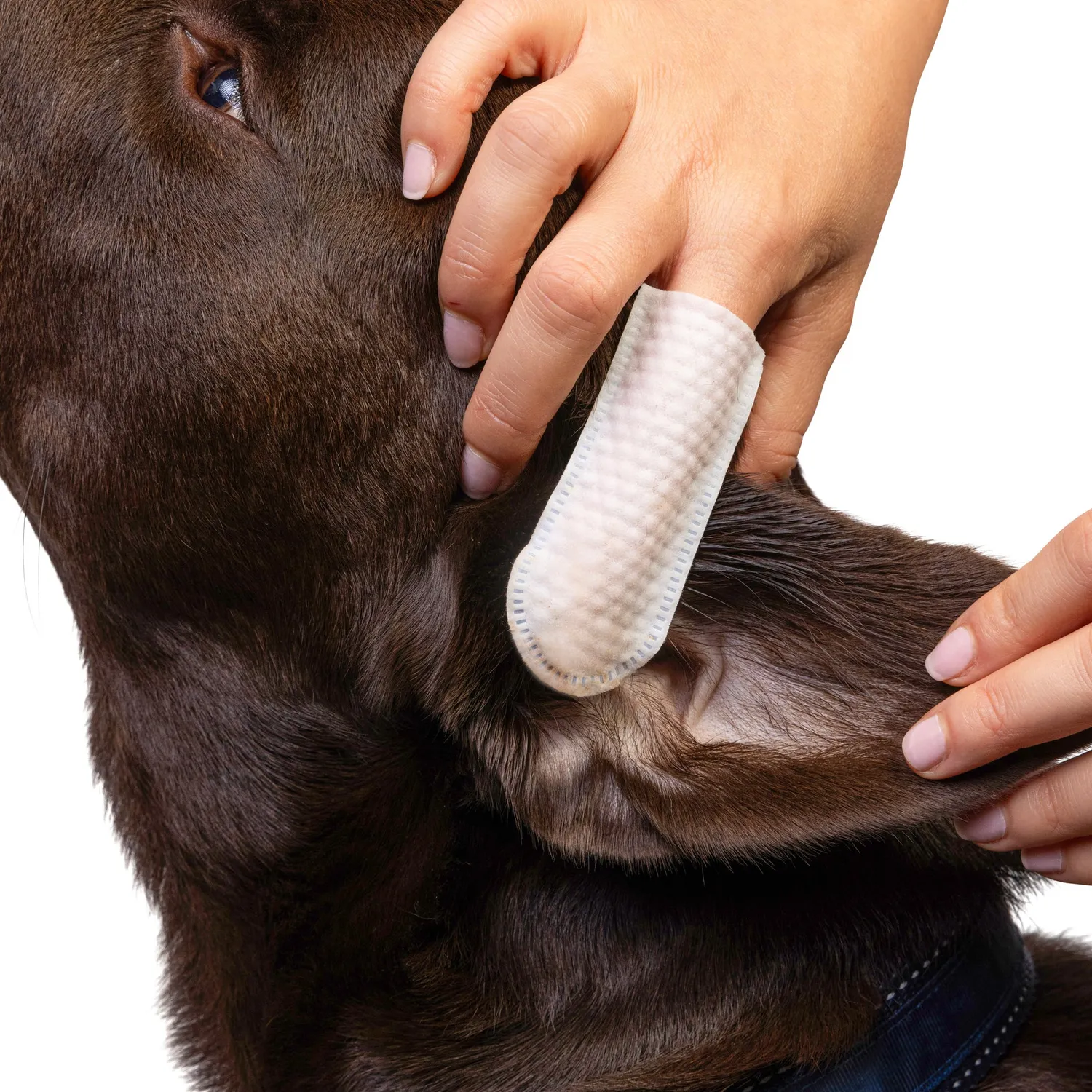 Goo-eez Premium Ear øreservietter til hund 60 stk mild