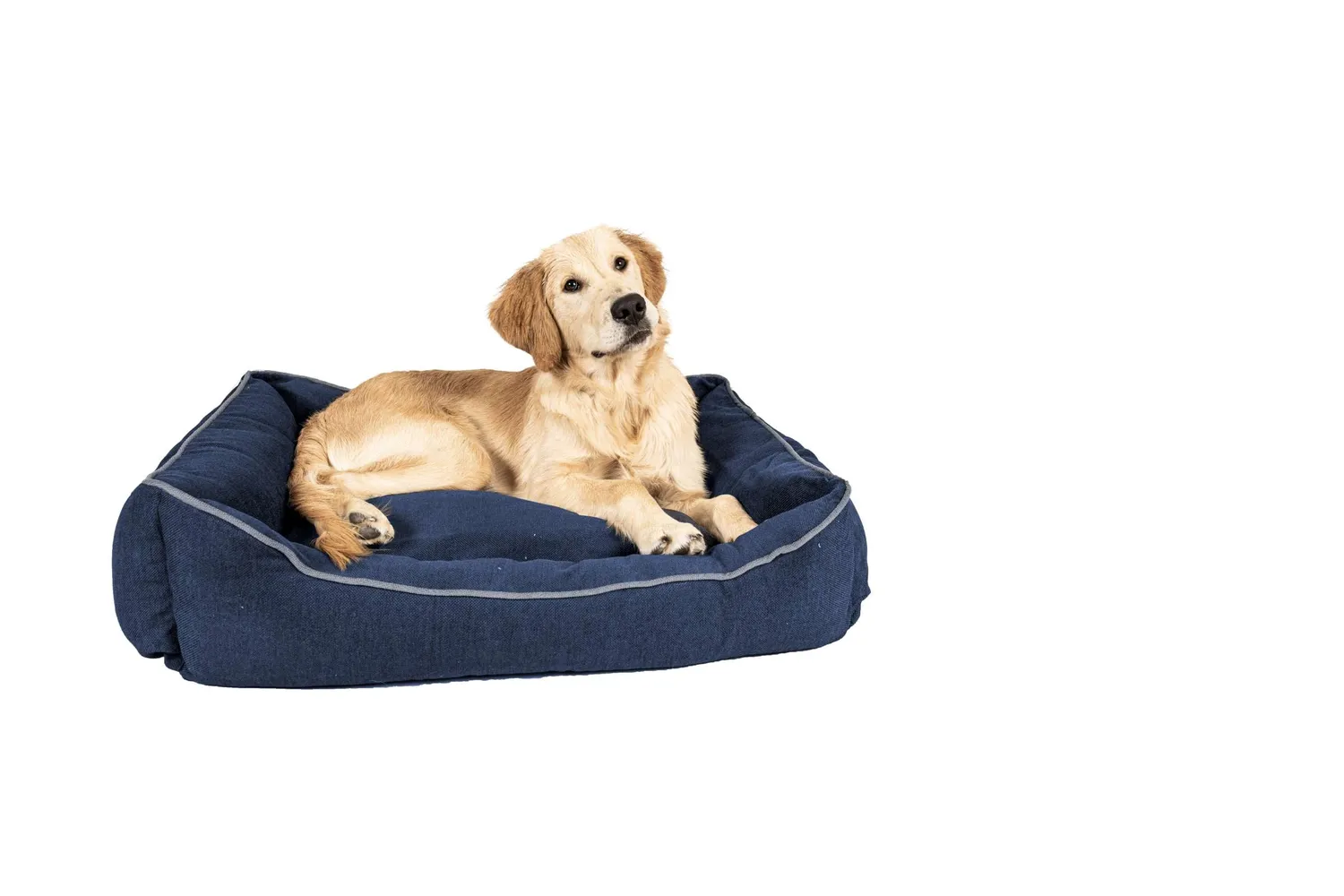 Dog Gone Smart Chenille Lounger hundeseng med høj kant og Repelz-It