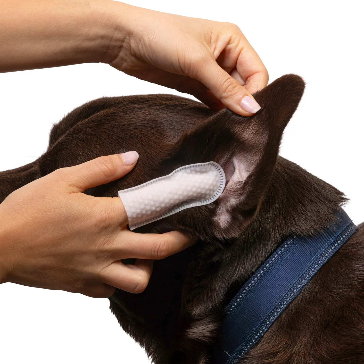 Goo-eez Premium Ear øreservietter til hund 60 stk mild