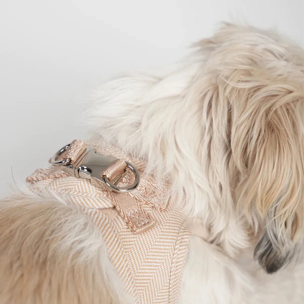 Staey Saga step-in hundesele light rose blød