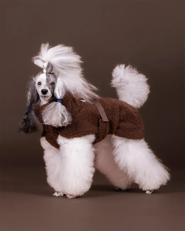 Paikka Sherpa Shirt Choco hundetrøje brun Seawool