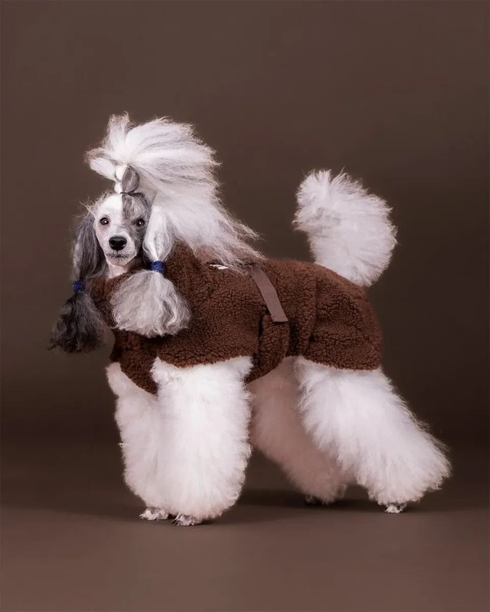 Paikka Sherpa Shirt Choco hundetrøje brun Seawool