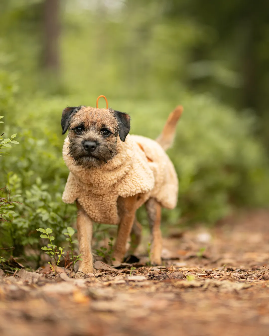 Paikka Sherpa shirt taupe varm hundetrøje