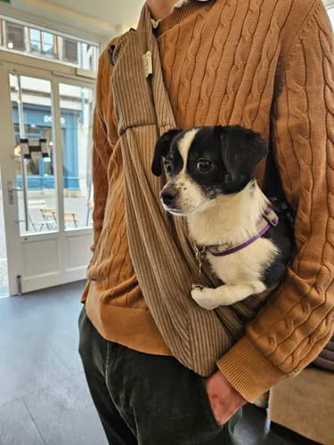 Staey Ava hvalpetaske teddy til 8 kg