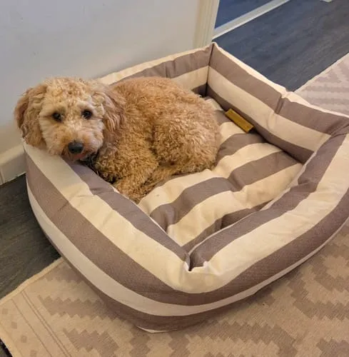 Staey Alba hundeseng striped vaskbar