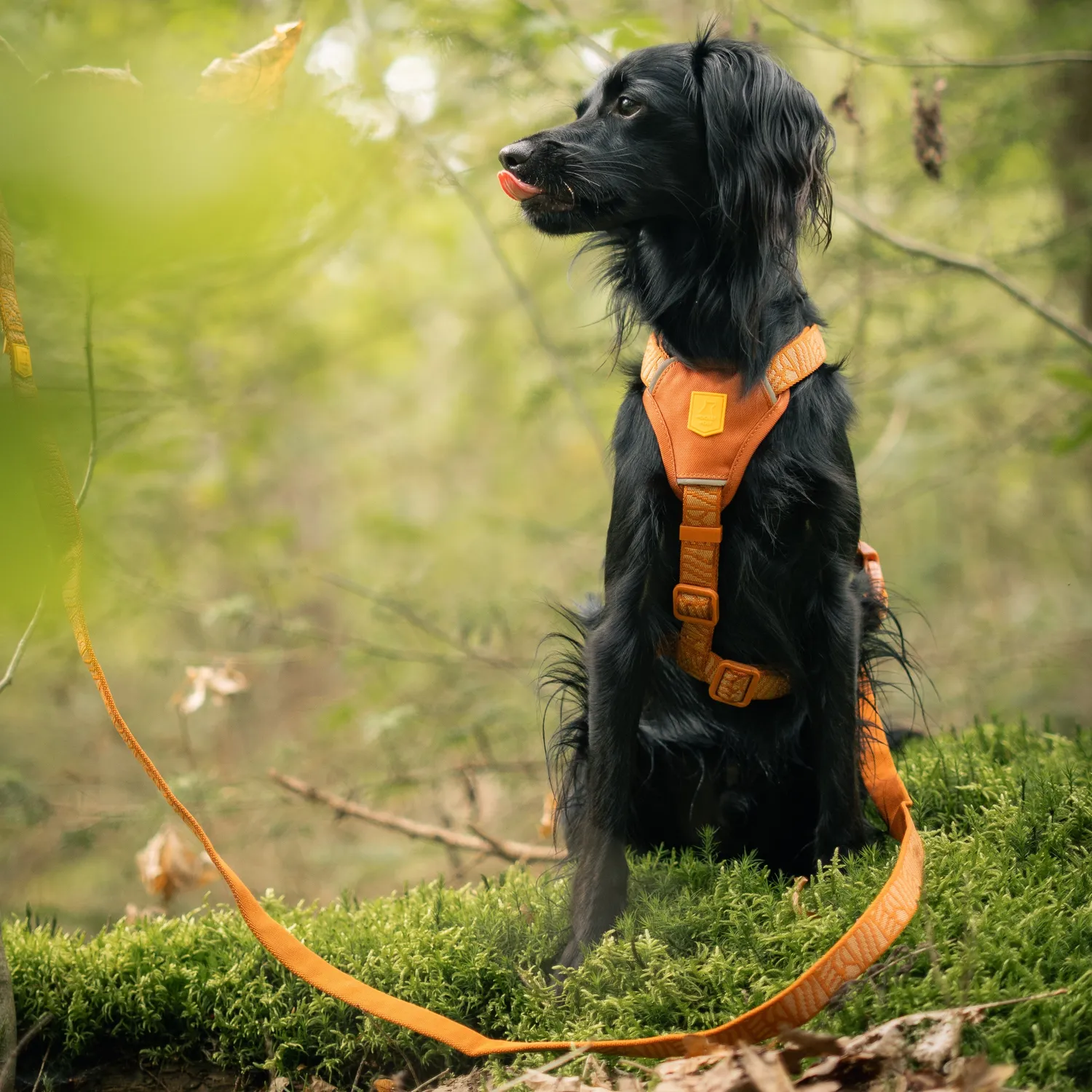 Woolly Wolf Wild Tundra hundesnor 150 cm terrakotta