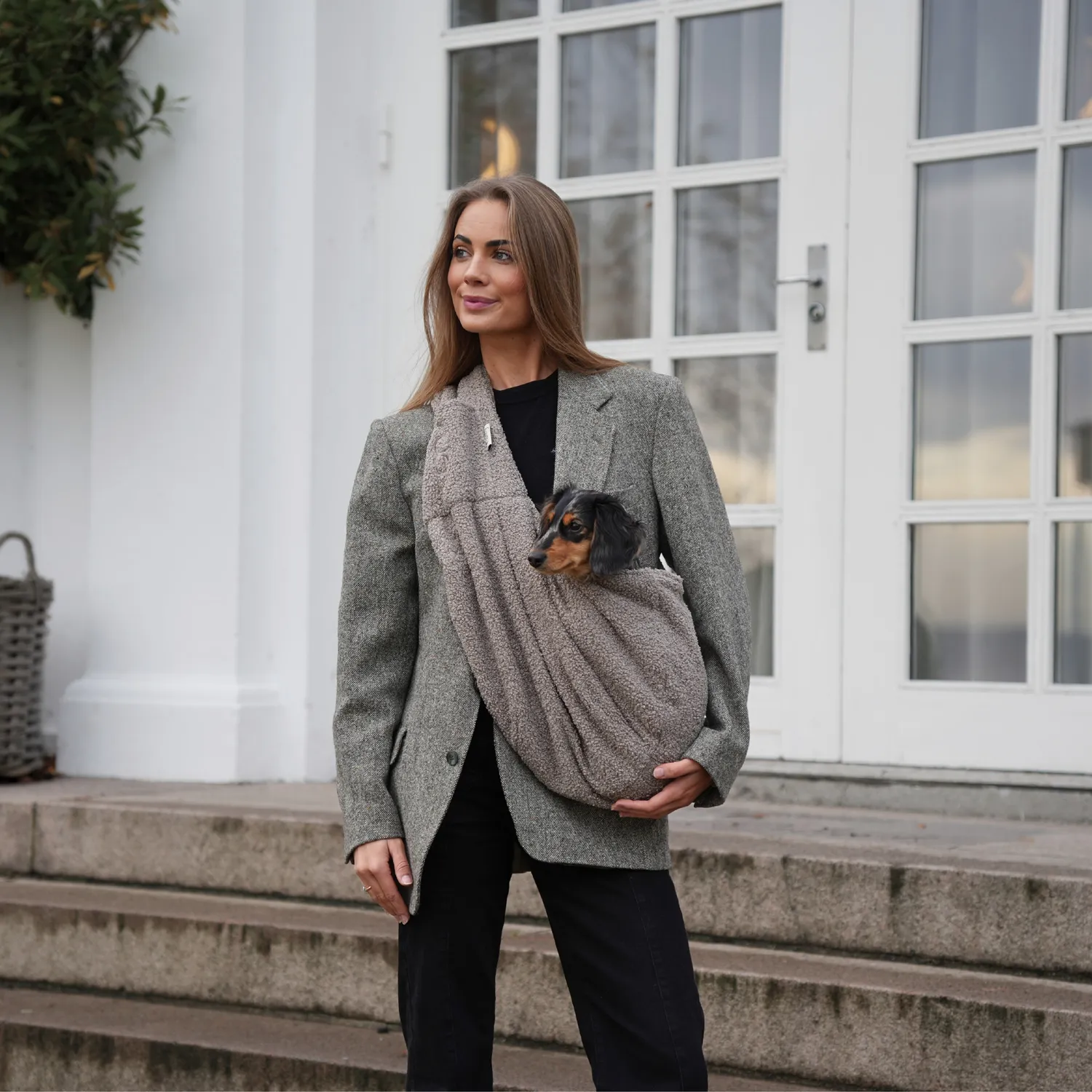 Staey Ava hvalpetaske Teddy 8 kg