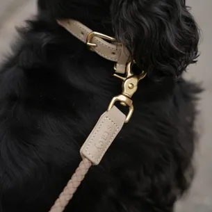 Staey Hands-Free hundesnor Taupe håndfri justerbar