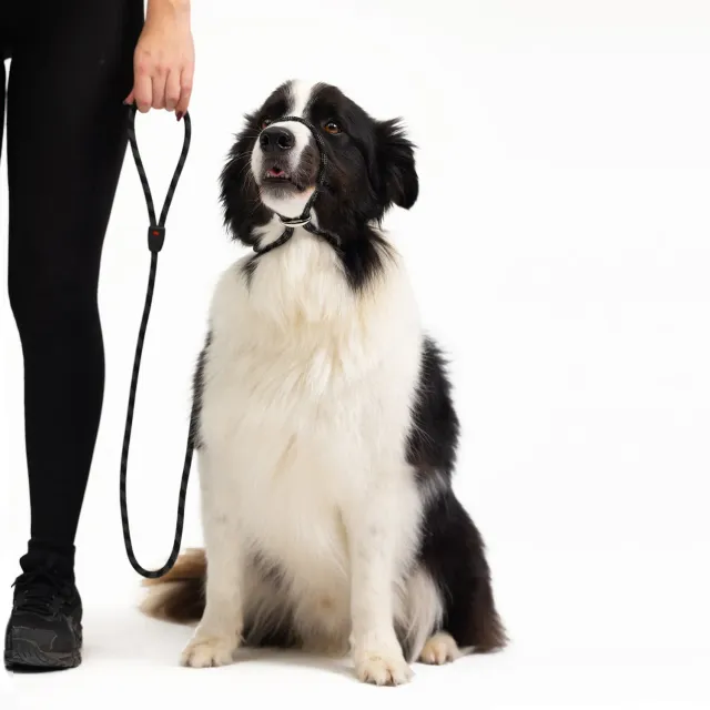 EzyDog Luca hundesnor sort 170 cm træningsreb