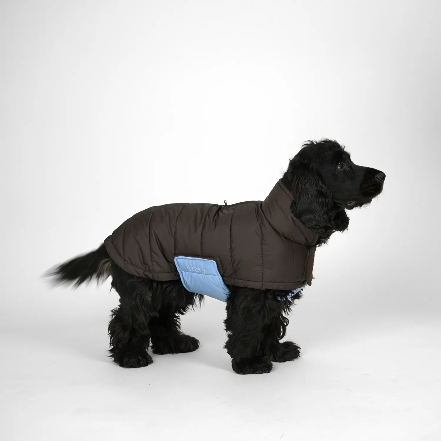 Staey Nora hundefrakke Espresso/Sky Blue varm vinter