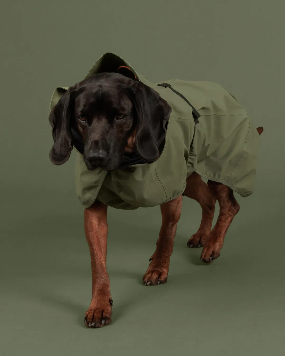 Paikka Reflective Shell Jacket Olive refleksjakke