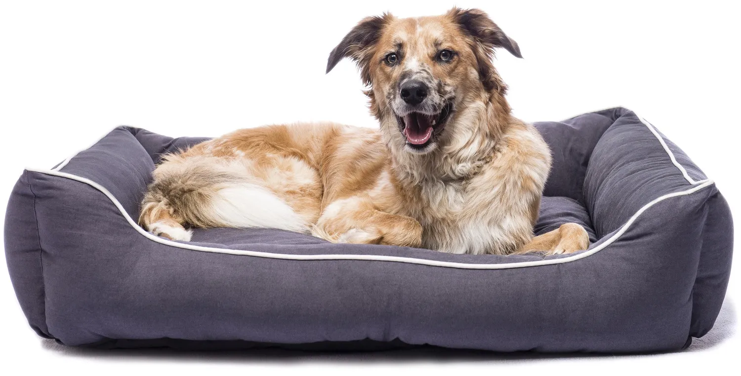 Dog Gone Smart Cotton Canvas Lounger hundeseng M sand bomuld