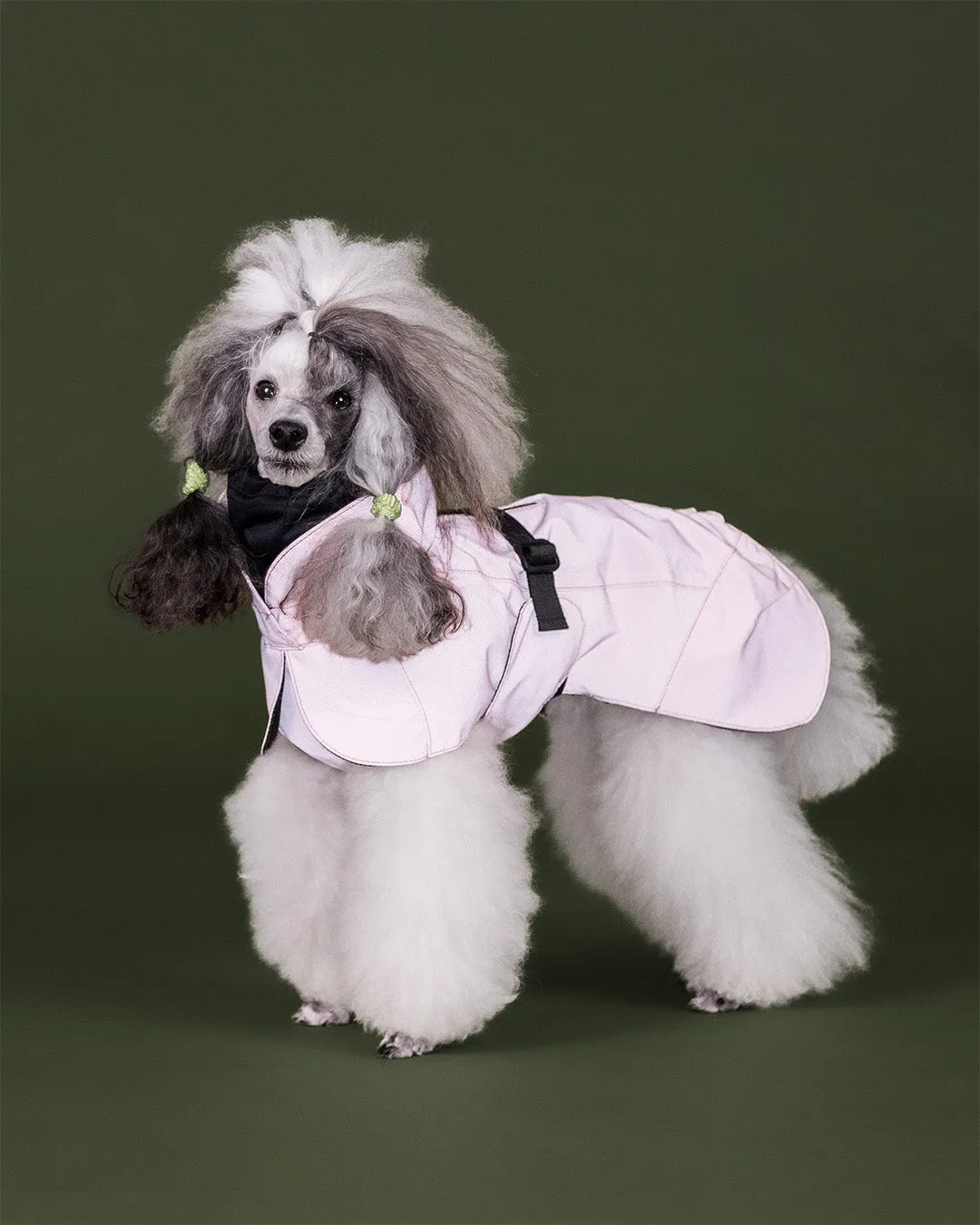 Paikka Visibility regnjakke til hund Rose reflekterende