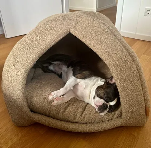 Staey Hundehule Dog Cave Oat Bouclé Hule 62x62 cm