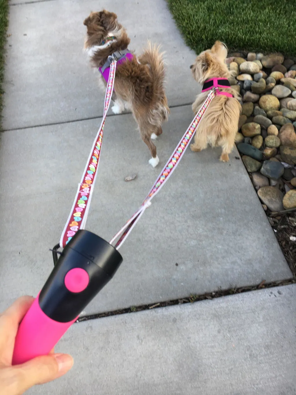Dog Gone Smart Gismo lineholder med poseholder