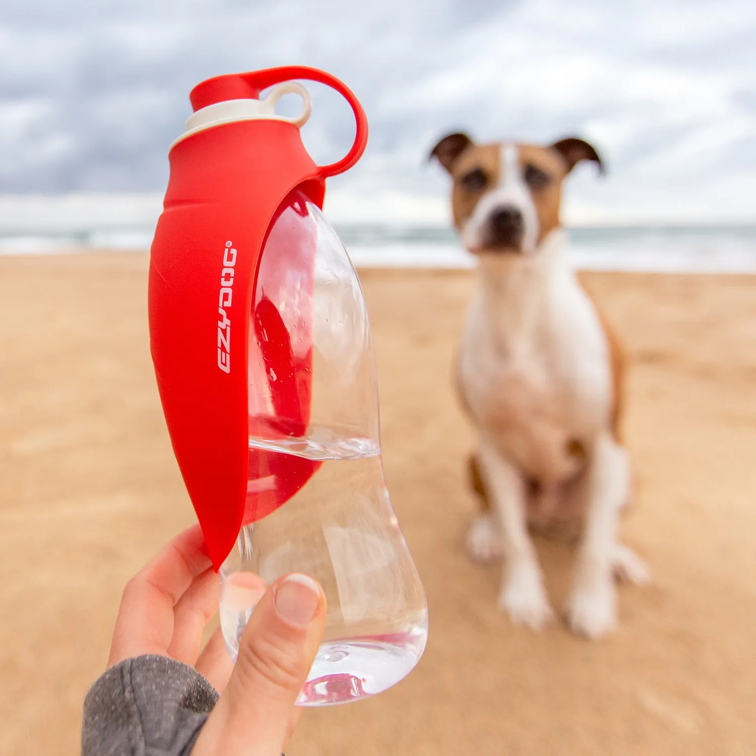 EzyDog Leaf vandflaske 600ml rød