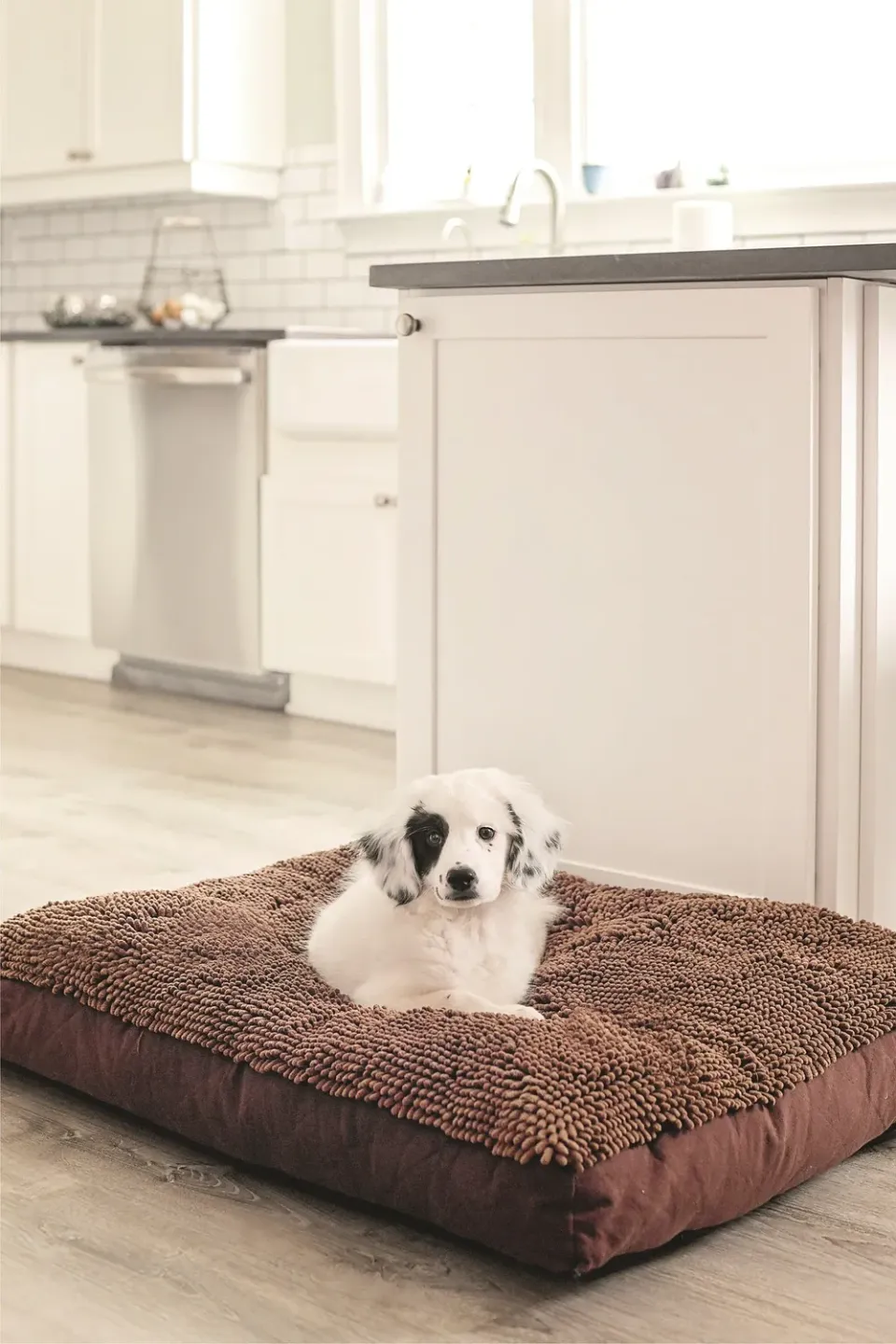 Dog Gone Smart Dirty Dog Rectangle hundeseng vaskbar