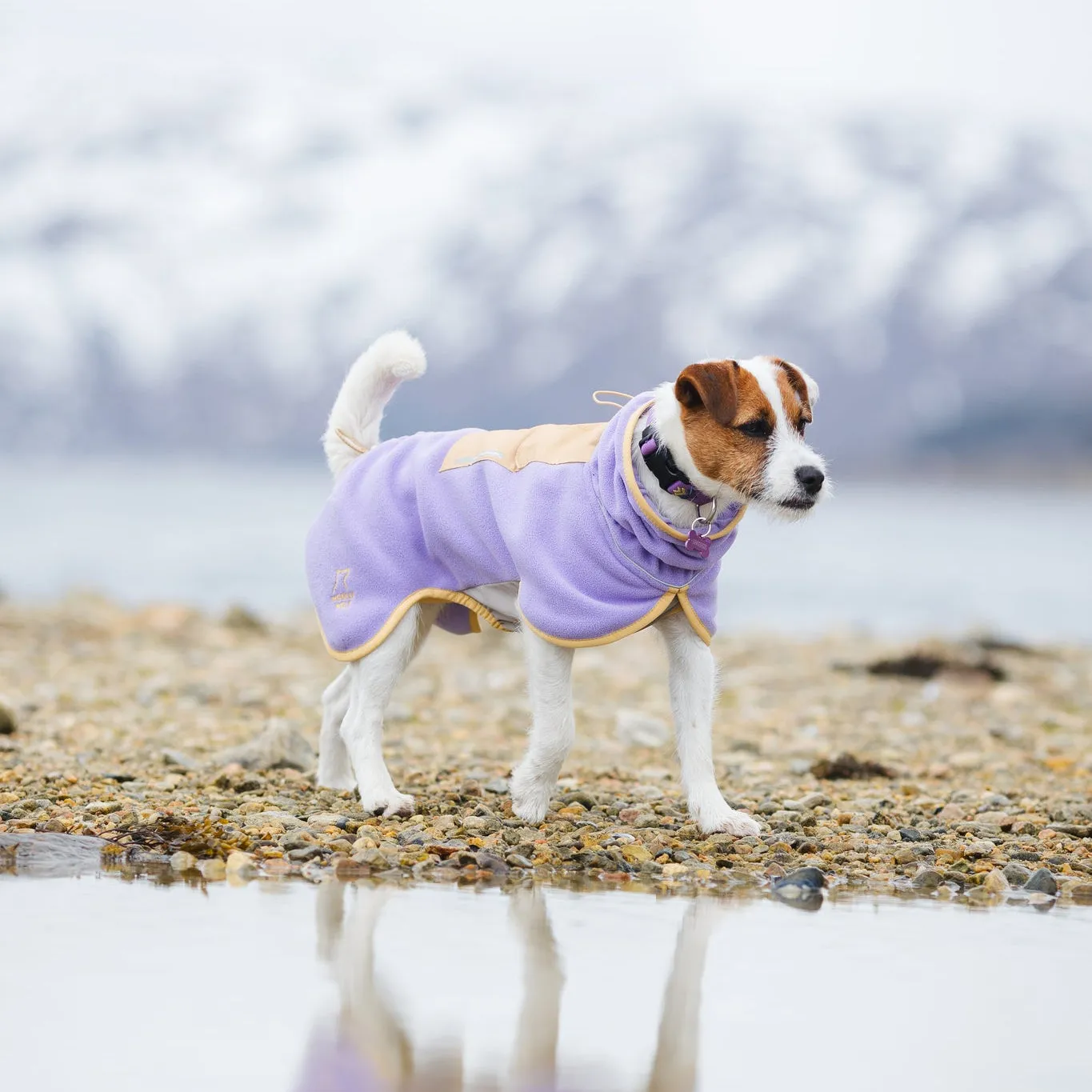 Woolly Wolf Alpha 360 hundetrøje lavendel sand