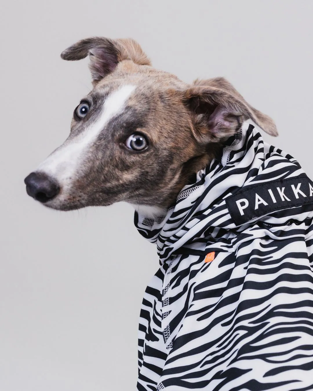 Paikka UV Bug Overall hundedragt zebra UV-beskyttende