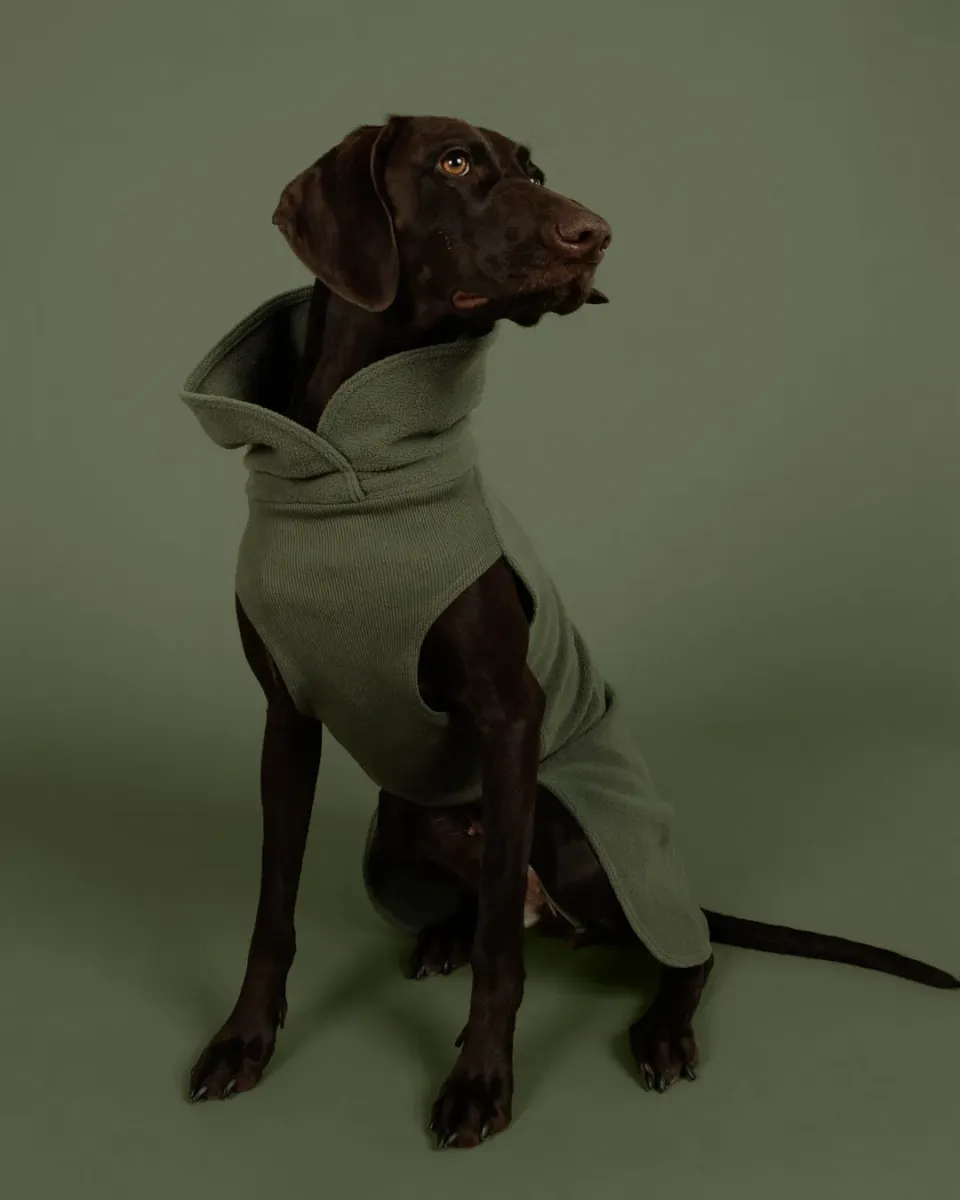 Paikka Seawool hundetrøje timian varmende
