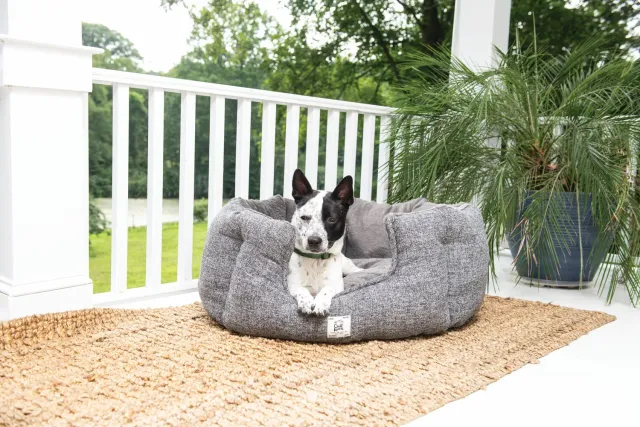 Dog Gone Smart Chill Kuzzi Round Bed hundeseng beroligende
