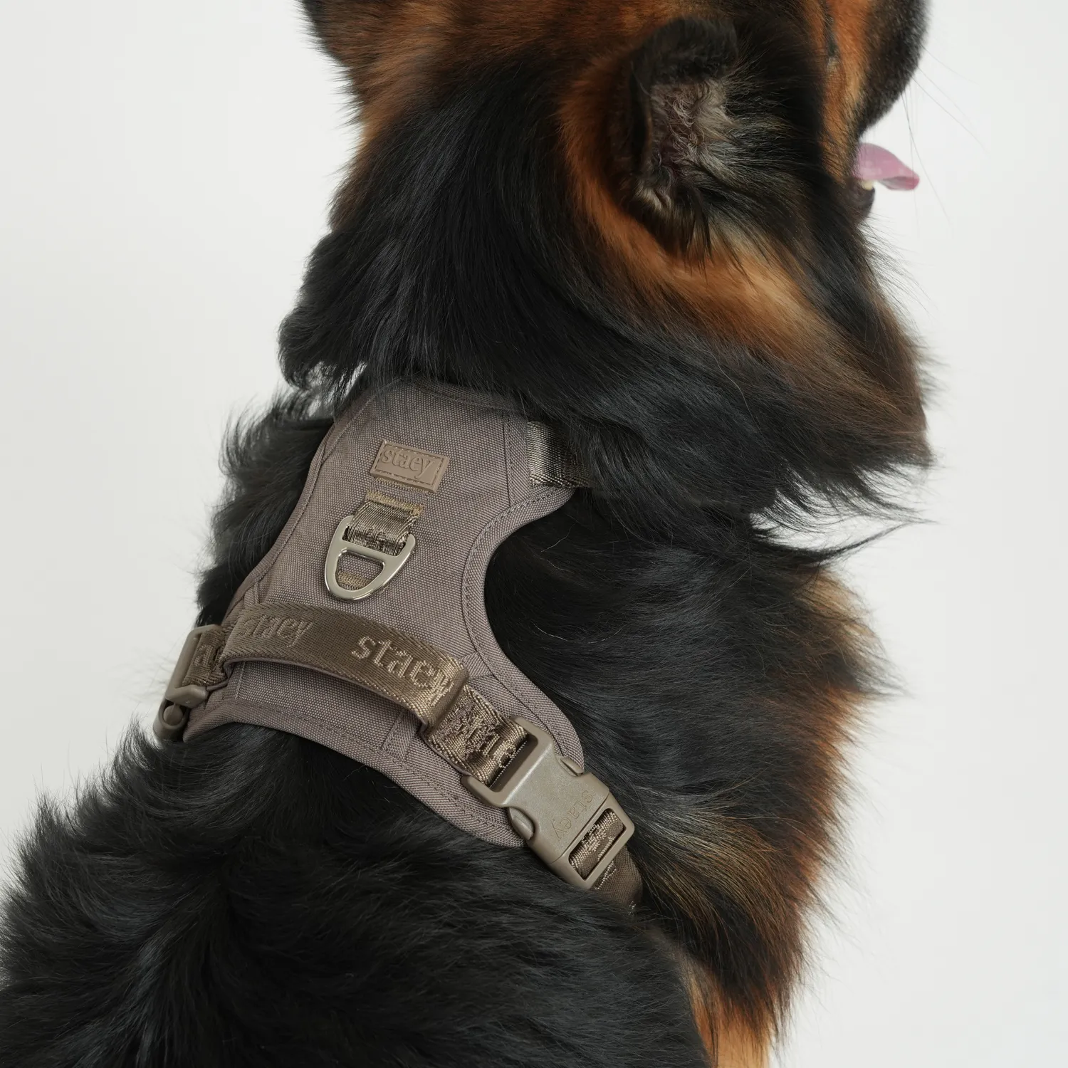 Staey Elma Active Hundesele Taupe – Justerbar Sele
