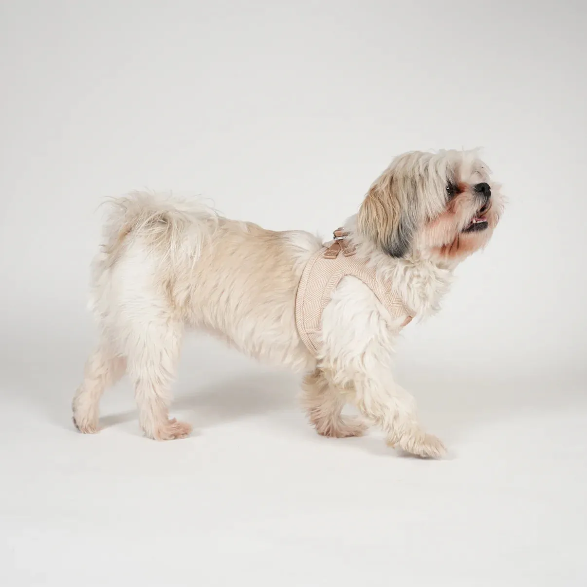 Staey Saga step-in hundesele light rose blød