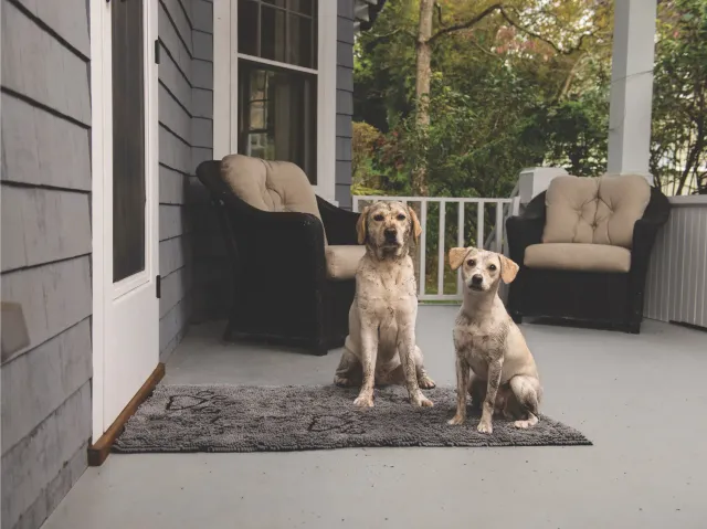 Dog Gone Smart Dirty Dog dørmåtte super absorberende