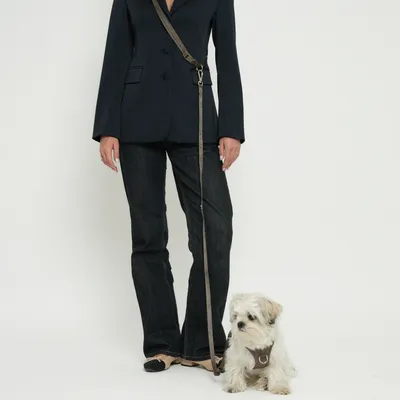 Staey Hands-Free hundesnor Taupe håndfri justerbar