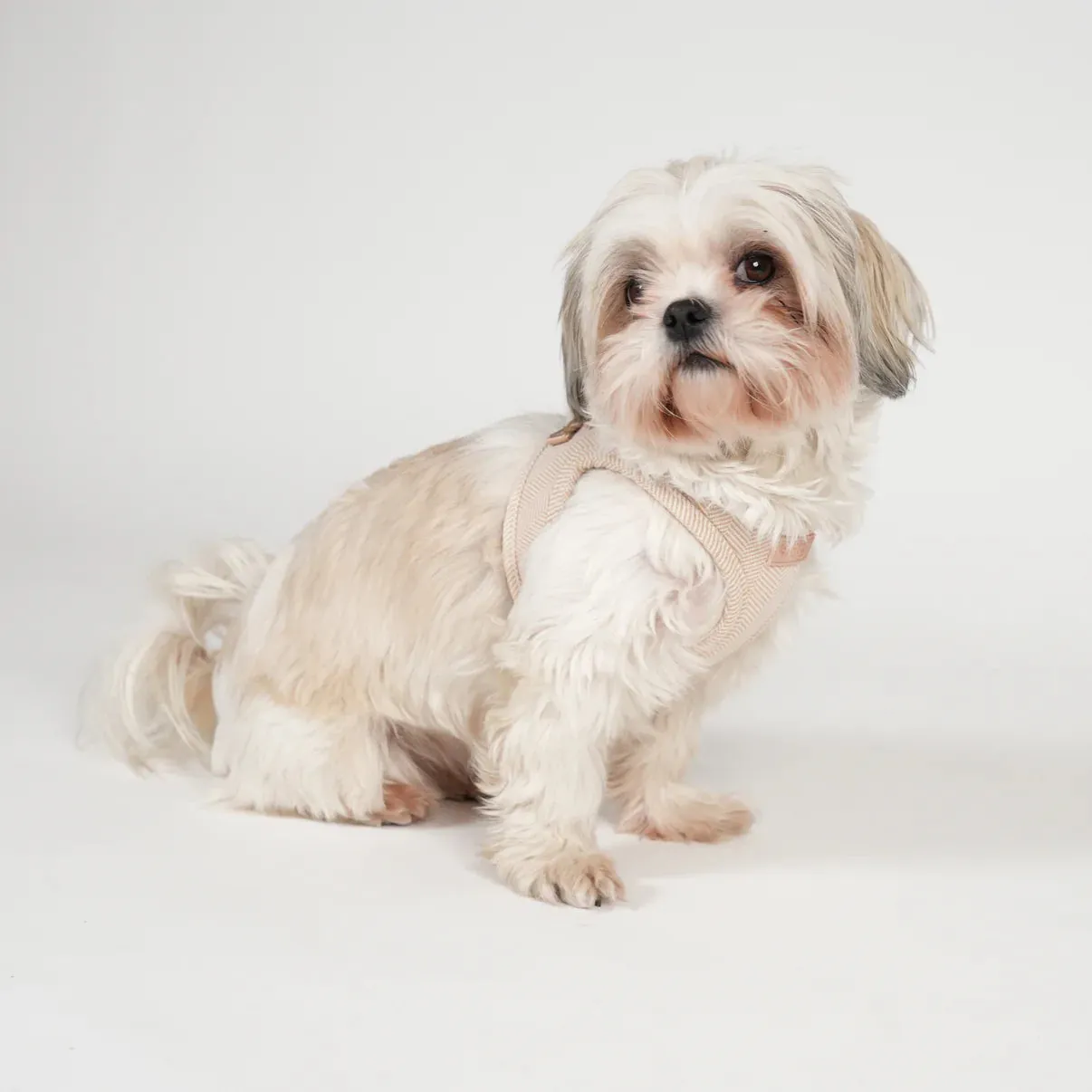 Staey Saga step-in hundesele light rose blød