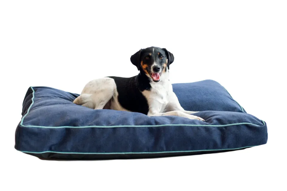 Dog Gone Smart Chenille Rectangle hundeseng med Repelz-It og vaskbart betræk