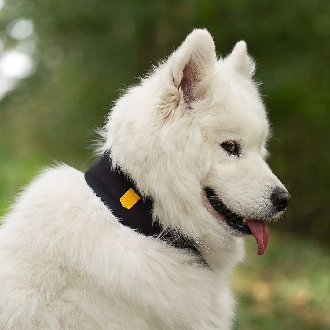 Woolly Wolf Alpha 360 hundehalsbånd sort polstret