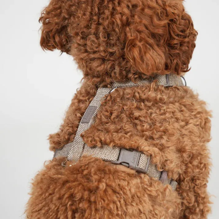 Staey Tara H-sele hundesele Mocca letvægt