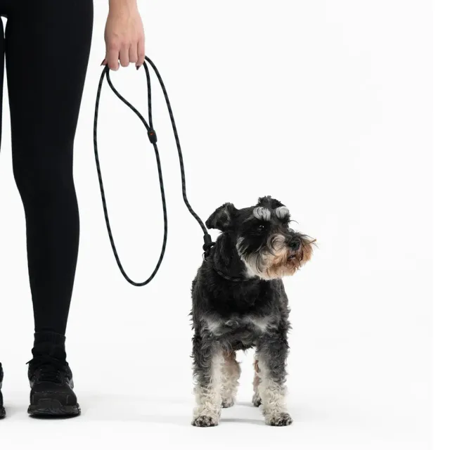 EzyDog Luca Leash LITE hundesnor 6 mm tynd