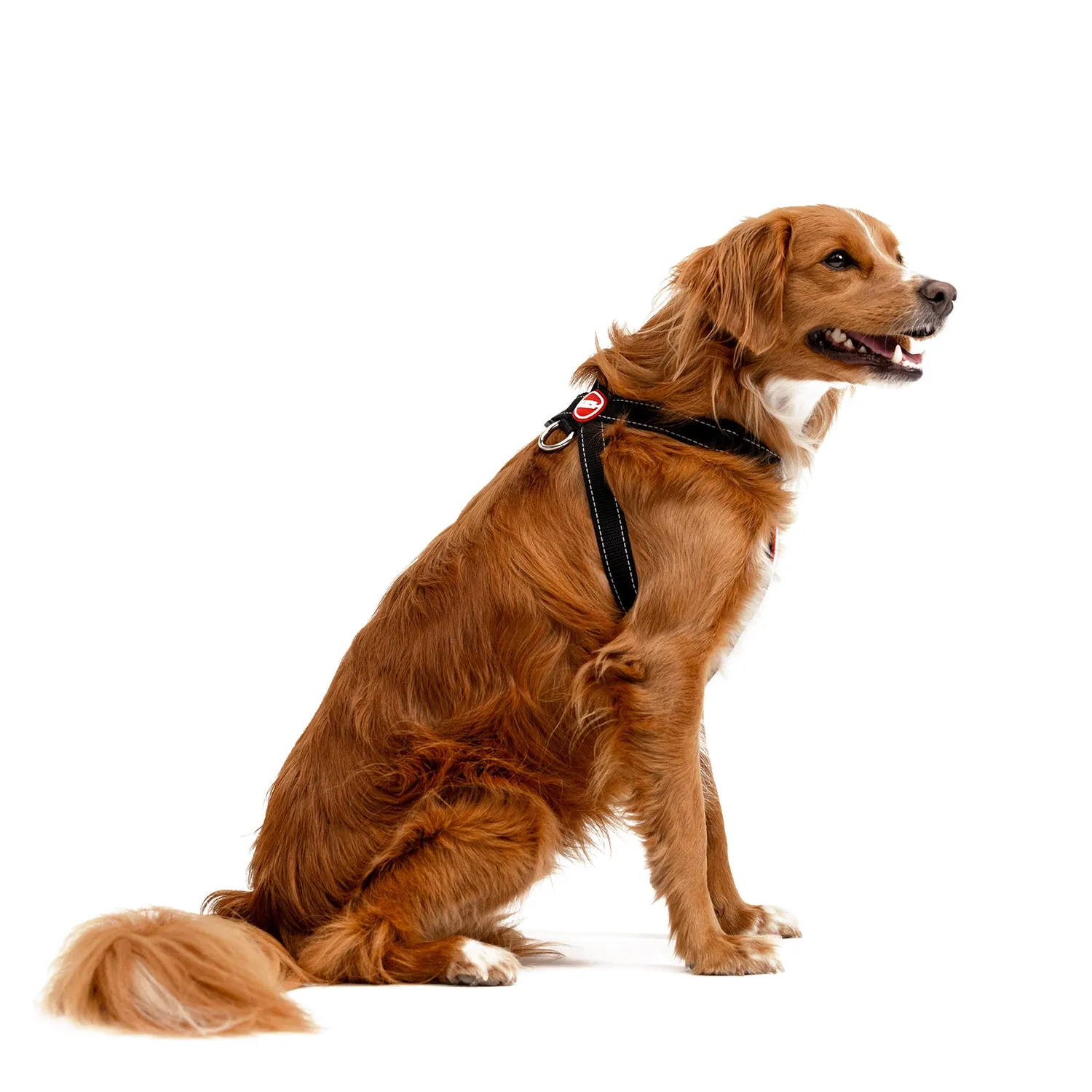 EzyDog Chest Plate sele camo grøn