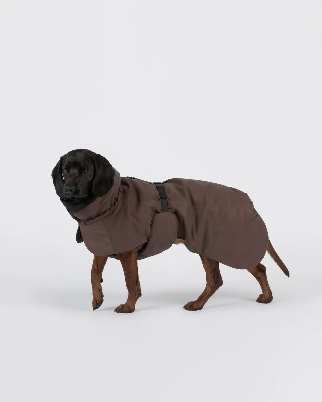Paikka Visibility Seawool vinterjakke choco