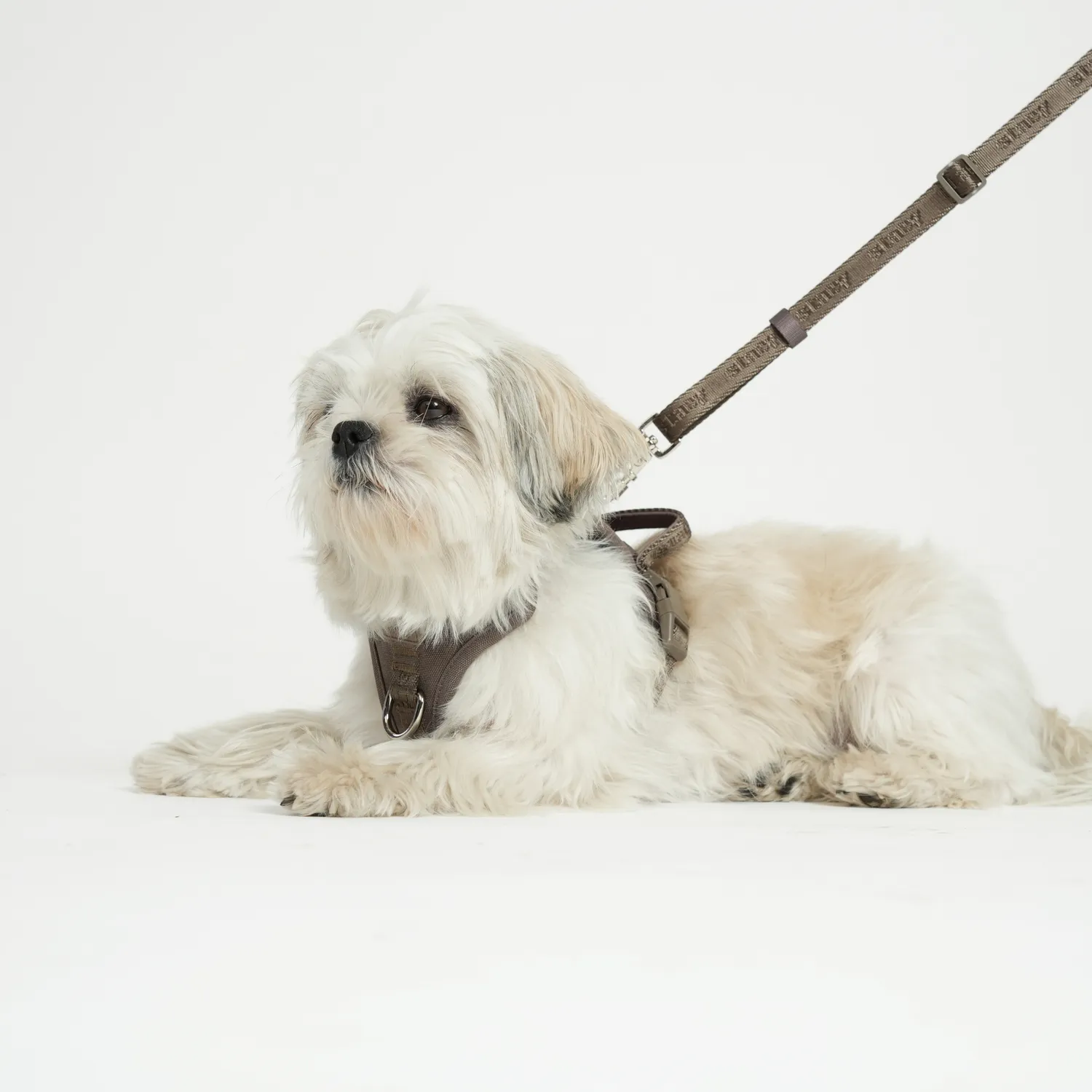Staey håndfri hundesnor Taupe – justerbar 2-delt