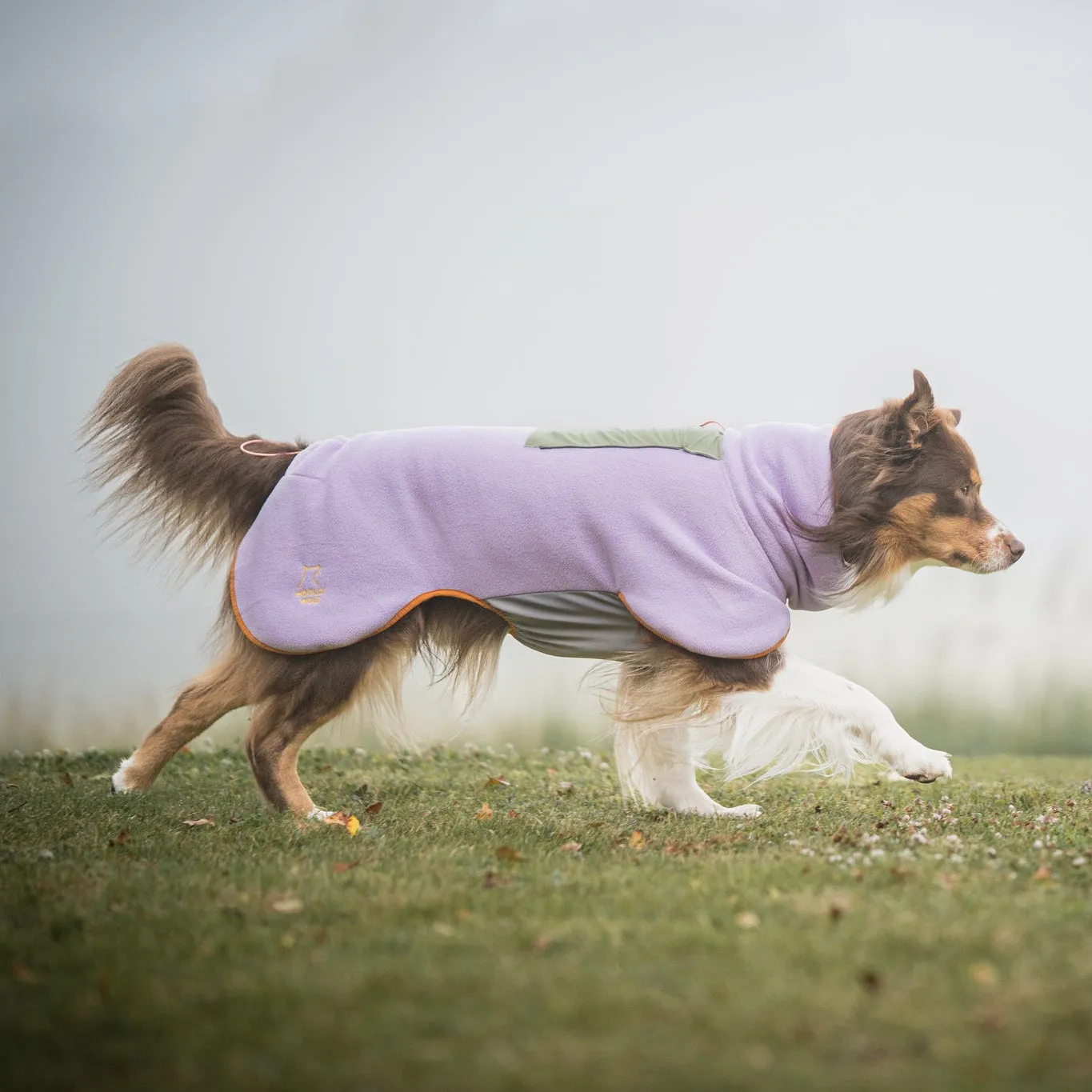 Woolly Wolf Alpha 360 hundetrøje lavender mix