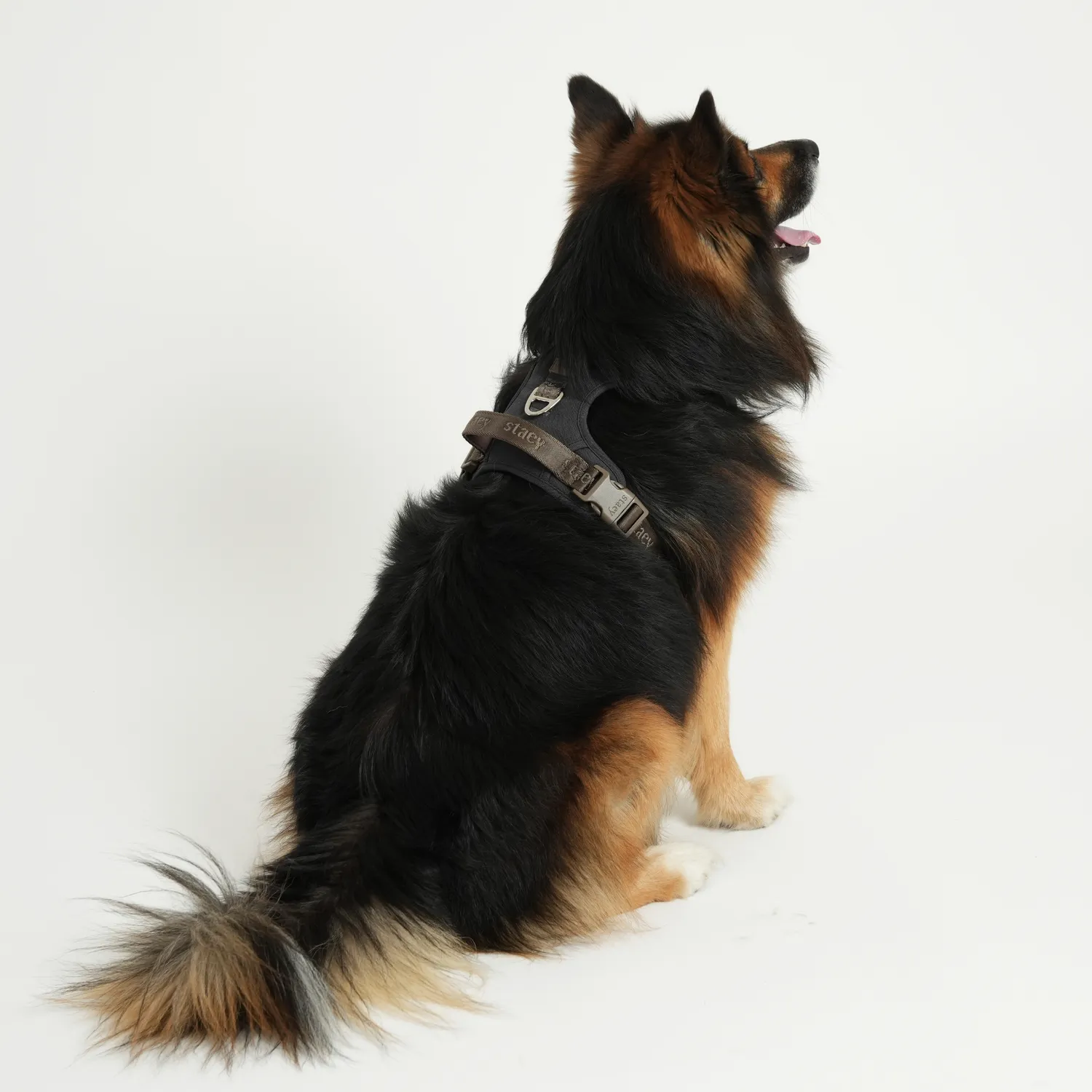 Staey Elma Active hundesele Storm med håndtag