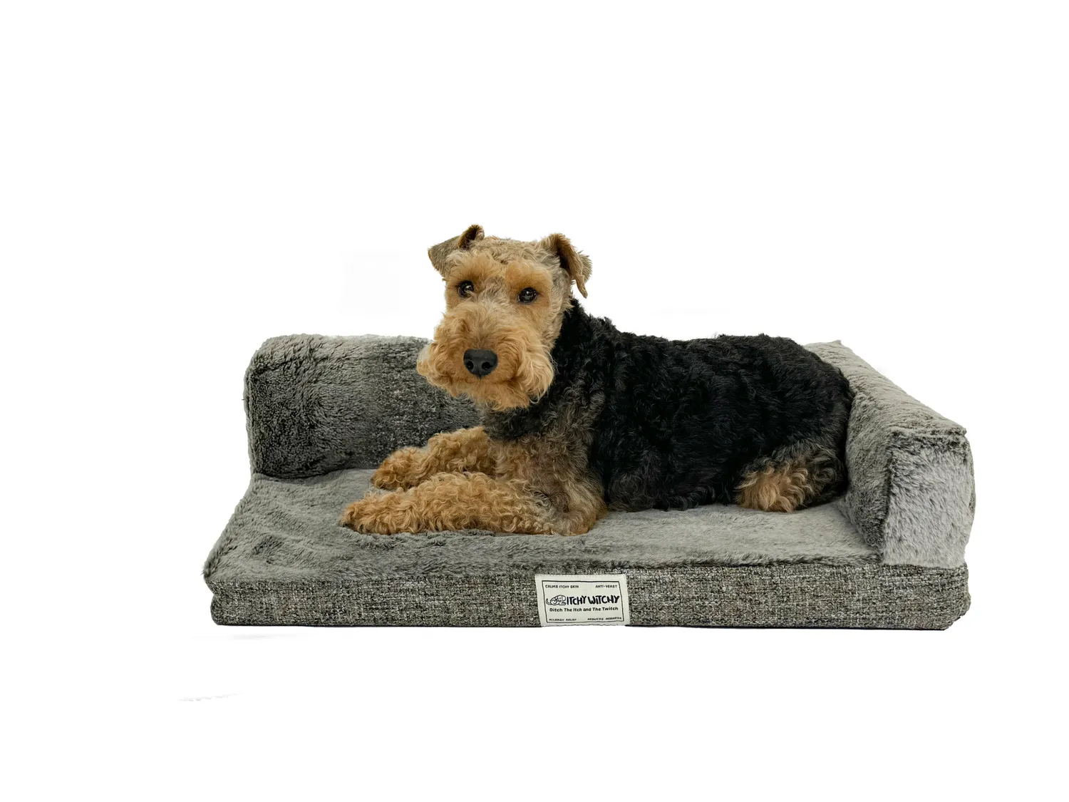 Dog Gone Smart Itchy Witchy burmåtte large lysebrun